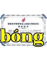 Bản sao chứng chỉ tốt nghiệp khóa đào tạo trình độ chuyên gia chuyển giao công nghệ chuyên nghiệp