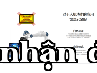 Ảnh 30