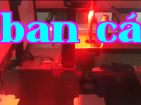 Dẫn dắt việc dán nắp và đáy
